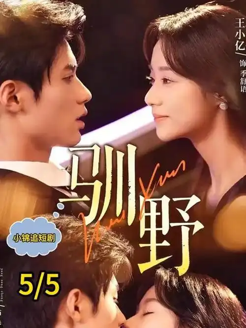 桥矿影院短剧深夜代驾海报